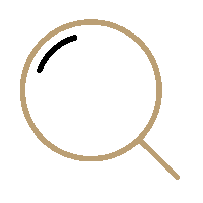 audit seo