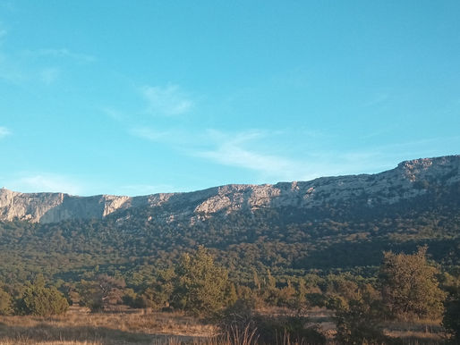 Caring for Mother Earth