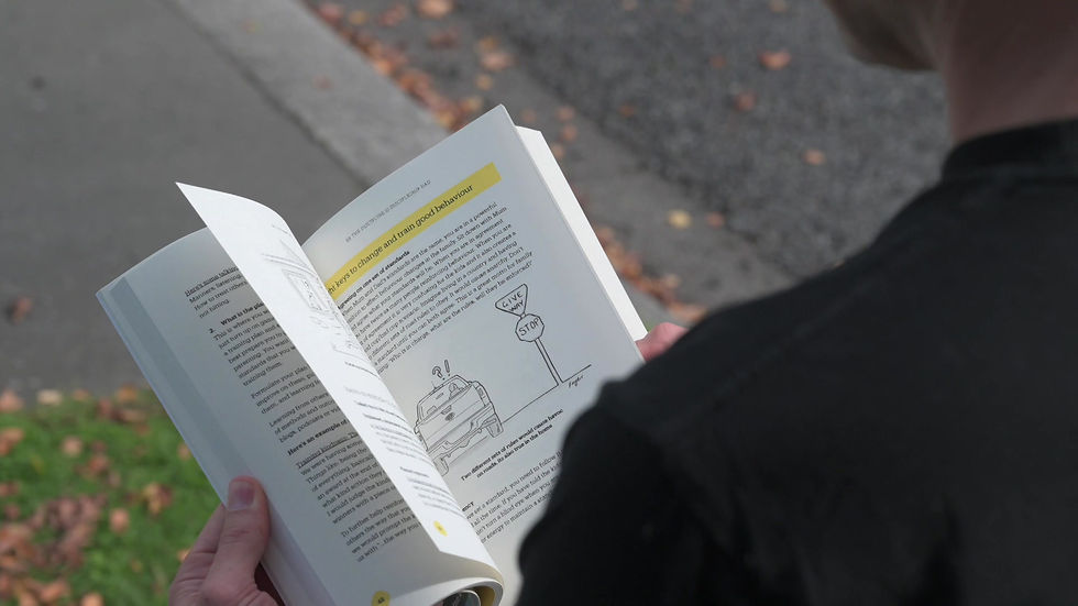 Thumbnail: BeTheDad Parenting Book