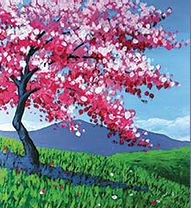  Senior's Paint FREE @ Home Kit