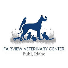 FVC LOGO