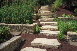 https---live.staticflickr.com-4495-37871