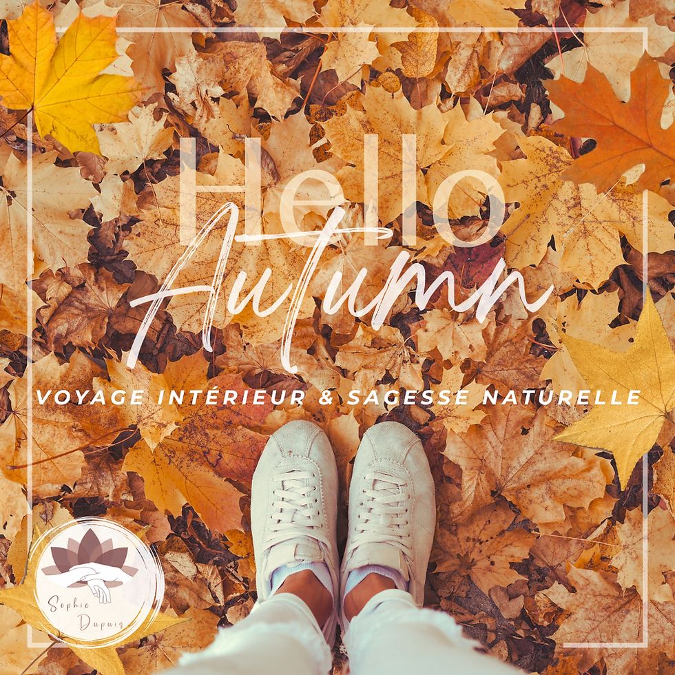 L'Automne : un nouveau chapitre d'équilibre et de lâcher-prise.