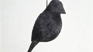 Lipski Edward - Brown Bird