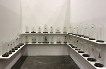 Den Elzen Mandy - The Morphology of Fish
