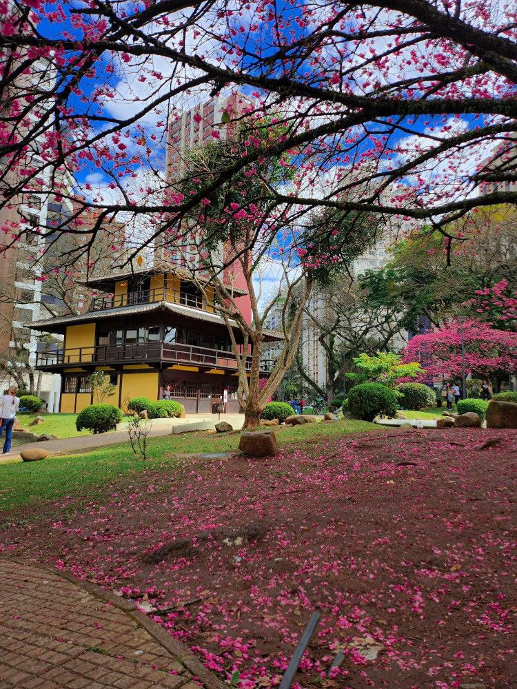 Praça do Japão, em Curitiba: a história viva de um encontro entre culturas