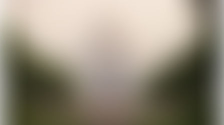 Master Class Series - Taj Mahal (Planning and Execution)