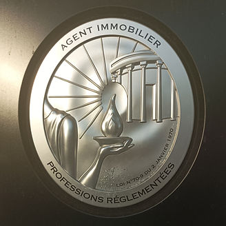 Agent immobilier profession reglementée