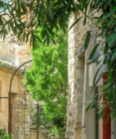 Provence ruelle village_edited.jpg