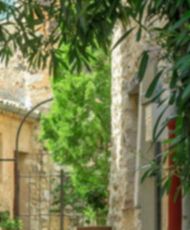 Provence ruelle village_edited.jpg