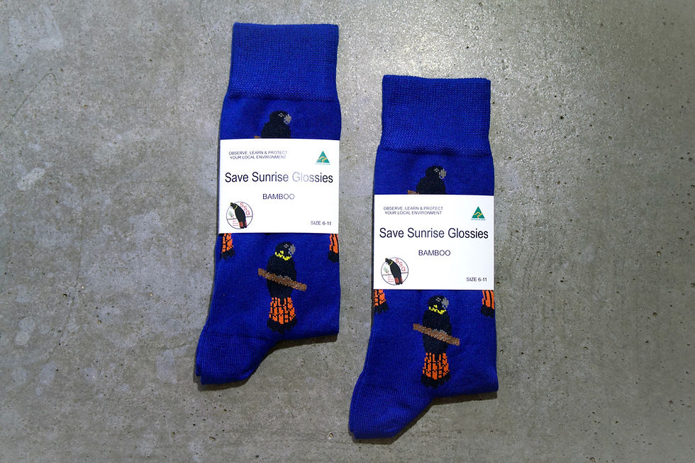 Thumbnail: Glossy Black-Cockatoo Socks