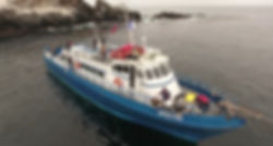 Anacapa/Santa Cruz Island 3 dive trip aboard the Spectre October 20