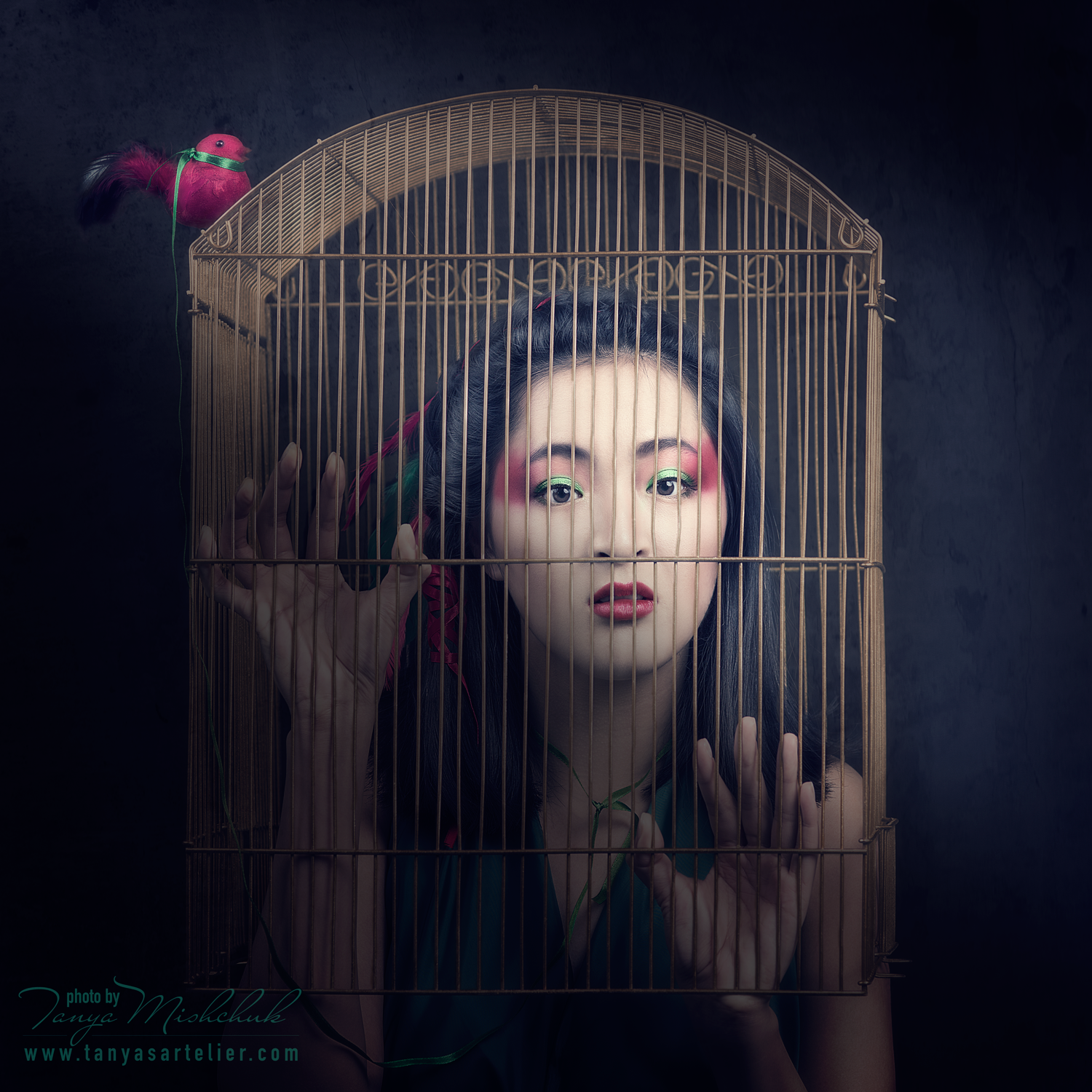 BIRDS.