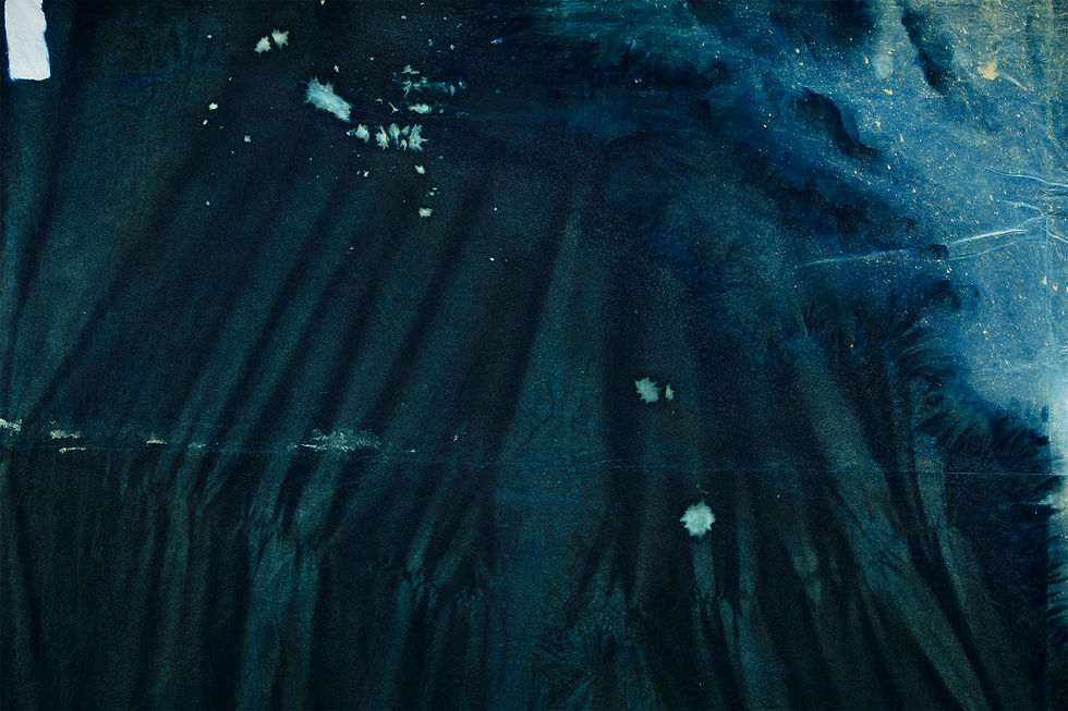 Fieldwork (Final work - detail)