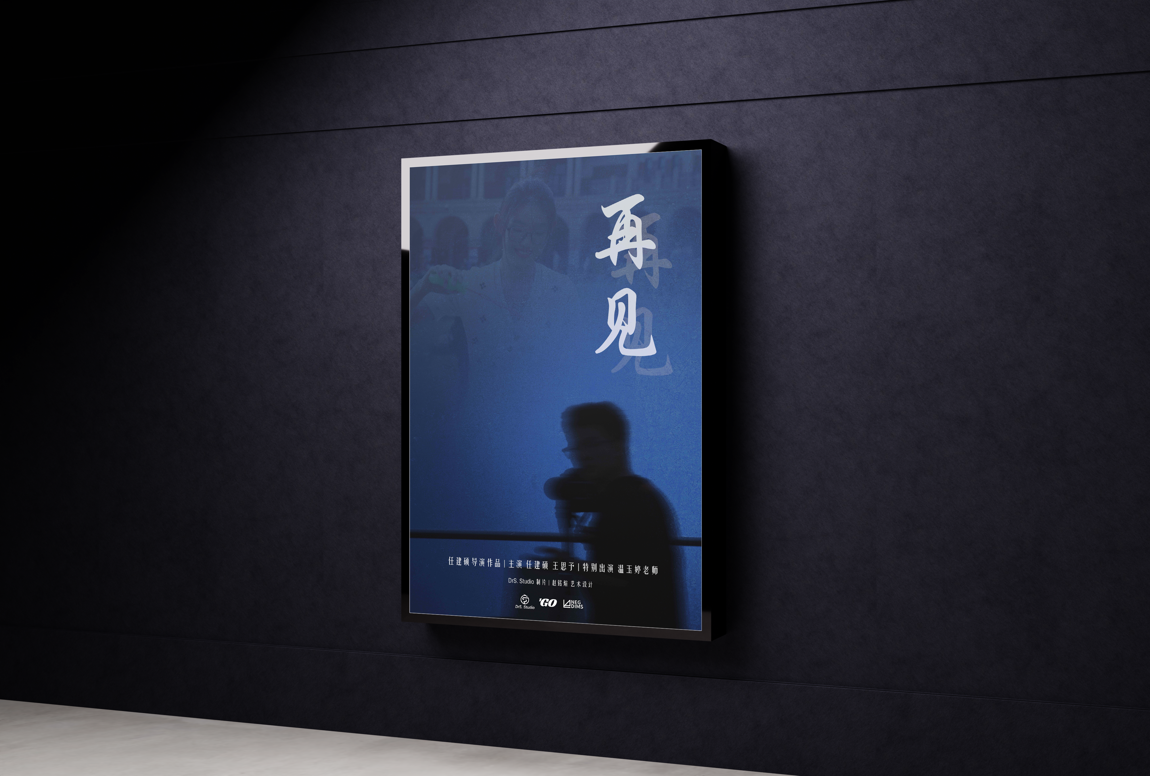Poster system