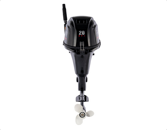 F20E Outboard Motor