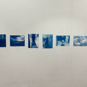 Cyanotypes 