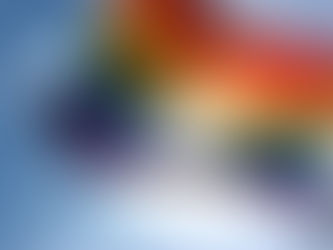 What does LGBTQIA+ stands for?