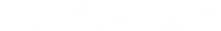 teflonzaytext.png