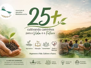 ABDSul 25+ | Quem somos? Quanto somos? Com quem podemos caminhar juntos?