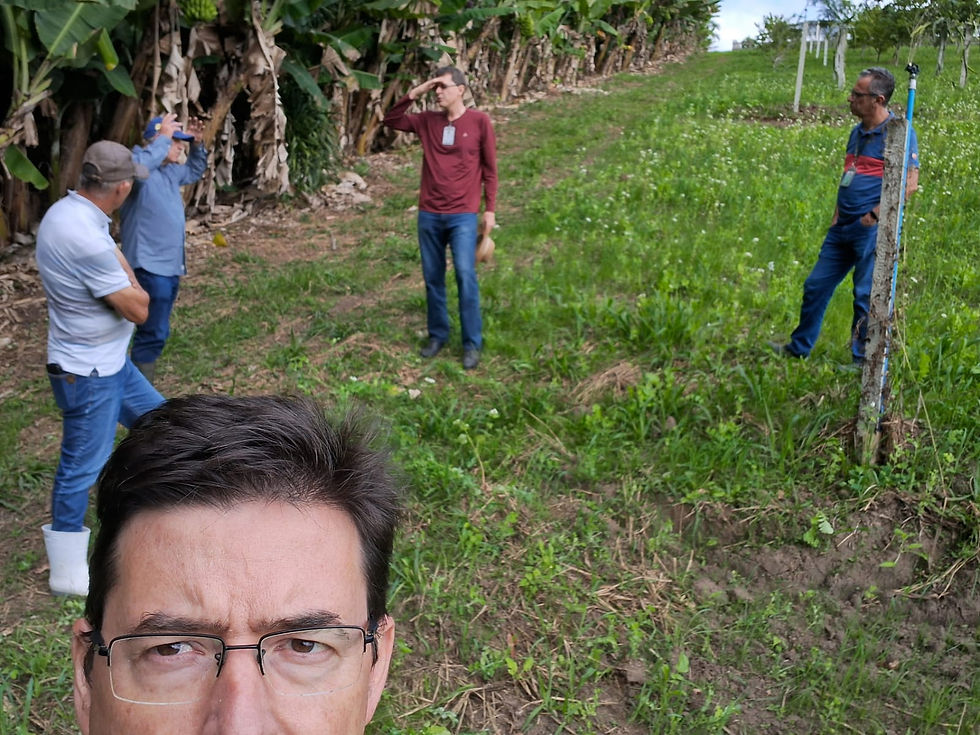 Visita ao campo