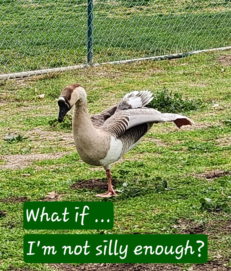 Goose standing in the grass