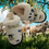 Thumbnail: Cow Cotton Wool Slippers
