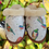 Thumbnail: Birds of New Zealand 3 Cotton wool Slippers