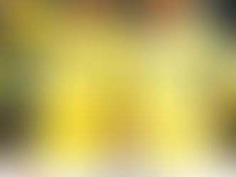 MS Dhoni के IPL भविष्य पर सस्पेंस, CSK को मिला नया उत्तराधिकारी? Stephen Fleming के बयान से मची हलचल