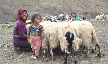 Kinderen bij kudde in Tibet