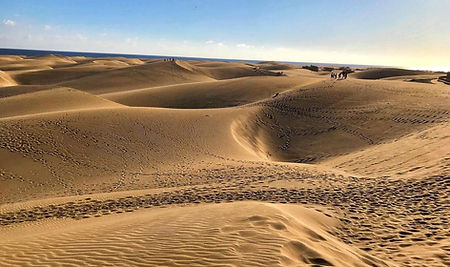 Zandduinen in Taklamakan Woestijn