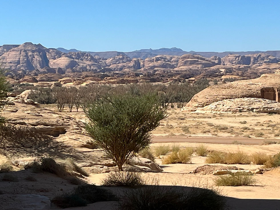 Madain Saleh omgeving
