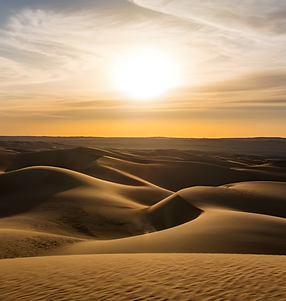 Zandduinen Algerije