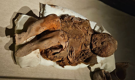 Mummie in Museum Turpan