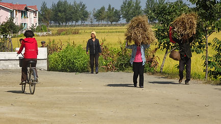 Chonsam Coöperatieve Boerderij bij Wonsan