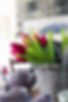 Villa Roma B&B Jesolo