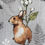 Thumbnail: Woodland Rabbits