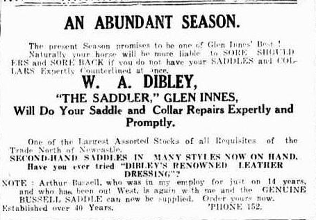 A-Website-1933-Dibley-Busse.gif