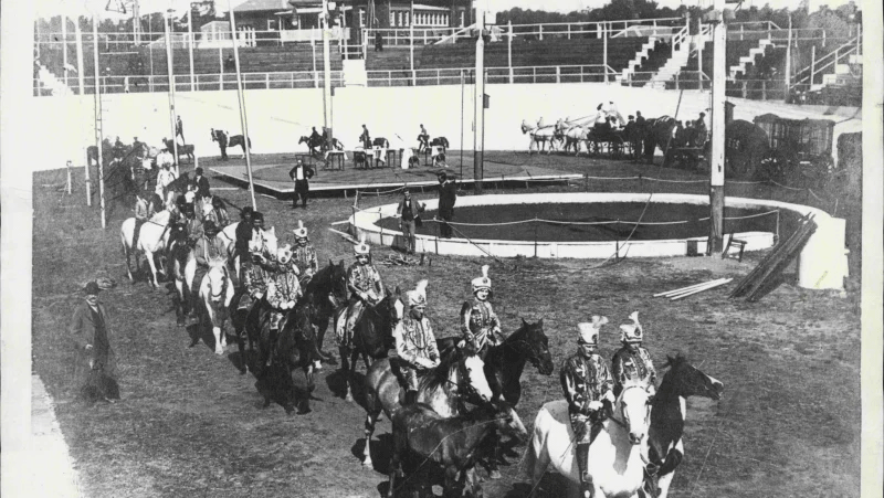 A-Website-Wirths-Olympia--F.gif