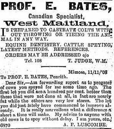 A-Website-1908-Bates.gif