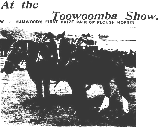 A-Website-1904-Hamwood-hors.gif