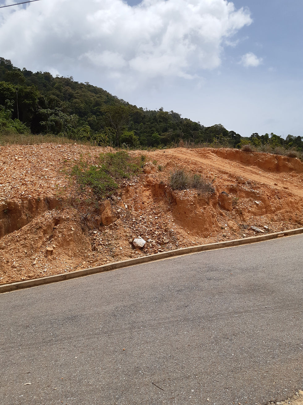 DCBH Sales and Consultancy Land for Sale Trinidad and Tobago