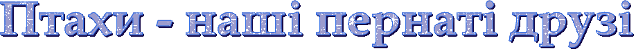 text.gif