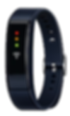 IdaFlo Wristband