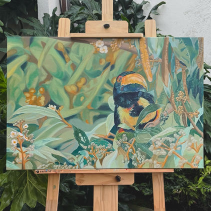 Pintura original de tucancillo collarejo en óleo sobre lienzo, ave tropical de Costa Rica, obra Tucancillo Collarejo de Tortuguero