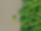 Inhale and Smooth Wave_edited.jpg