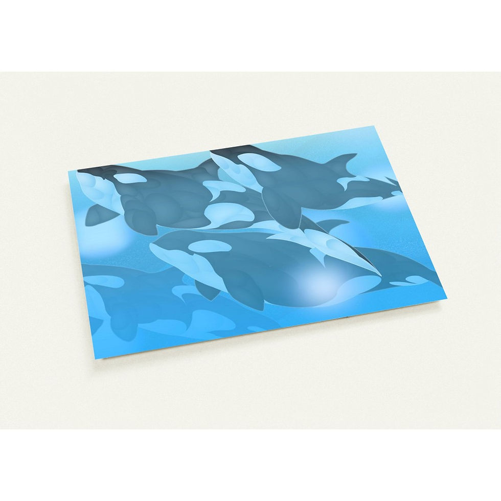 "The Ocean Race" Pack of 10 Greeting Cards (EU & Rest of World)