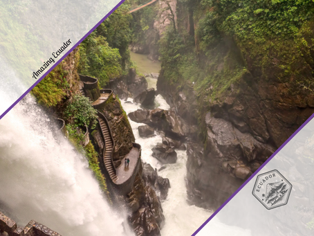 Amazing Ecuador