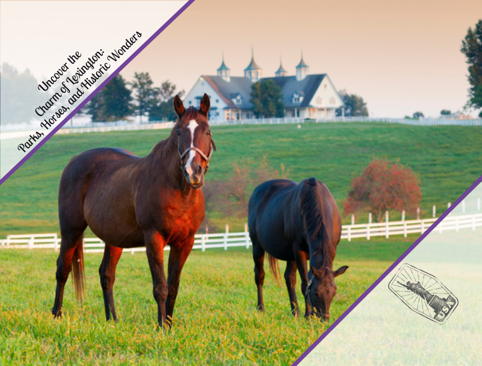 Uncover the Charm of Lexington: Parks, Horses, and Historic Wonders
