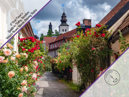 A First-Timer's Guide to Visby, Sweden: Where Roses Bloom Among Ruins
